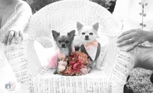 Cloëe RIDEZ - RIDEZ